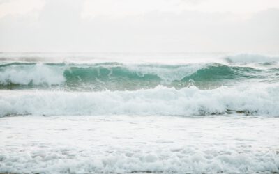 Layers of Training, Not Shortcuts: Why Supervision Matters in Psychology